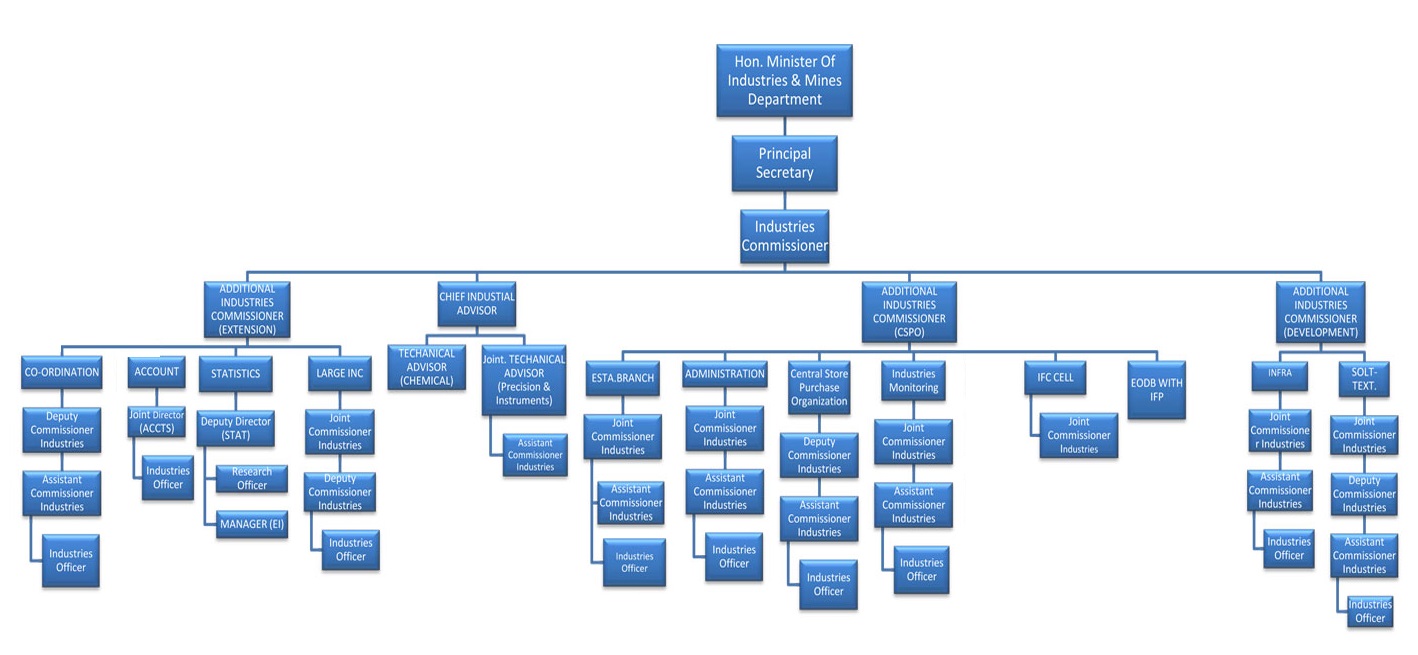 Organizational Chart